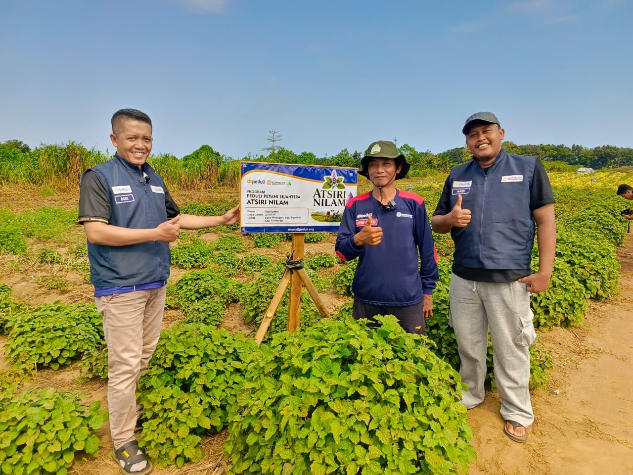 Monitoring Program Petani Atsiri Nilam dilahan 4 hektar - Cover Image